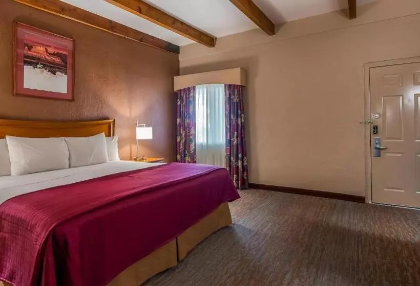 キングサイズベッドのスタンダードルーム, Best Western Canyon De Chelly Inn