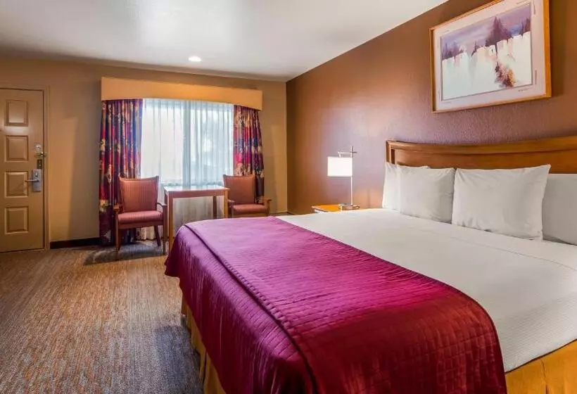 キングサイズベッドのスタンダードルーム, Best Western Canyon De Chelly Inn