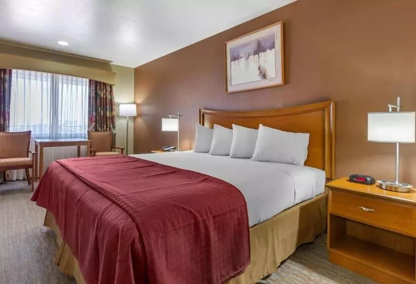 キングサイズベッドのスタンダードルーム, Best Western Canyon De Chelly Inn