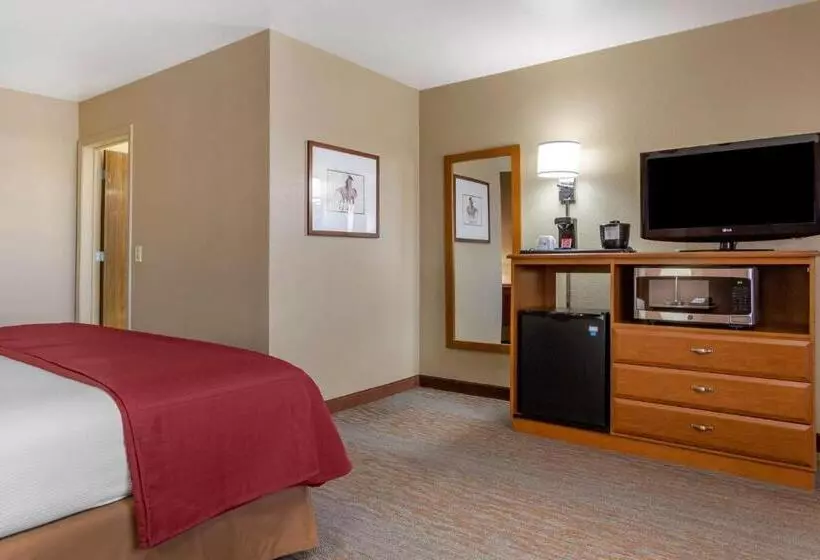 キングサイズベッドのスタンダードルーム, Best Western Canyon De Chelly Inn