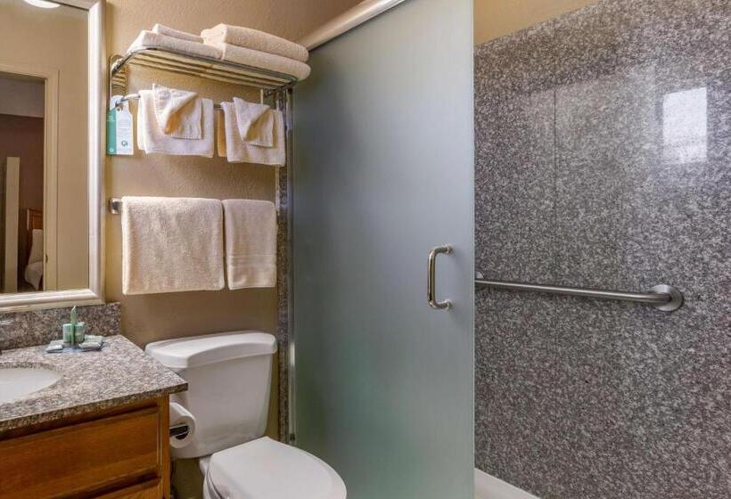 Стандартный Номер Кровать Кинг, Best Western Canyon De Chelly Inn