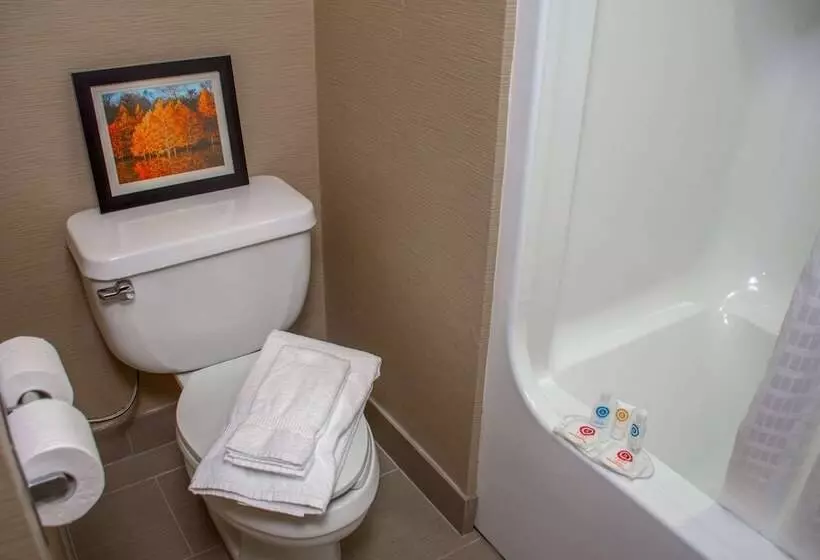 スタンダードルーム, Comfort Inn