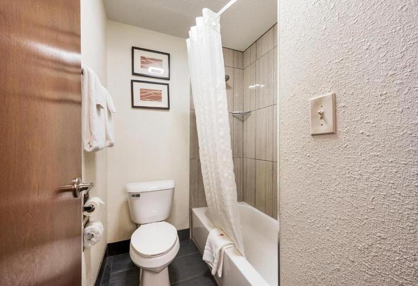 Номер Стандарт 2 Двуспальные Кровати, Comfort Inn Mayfield Heights Cleveland East