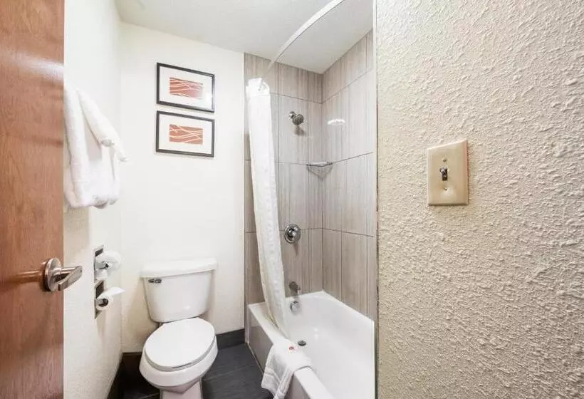 ２ダブルベッドのスタンダードルーム, Comfort Inn Mayfield Heights Cleveland East