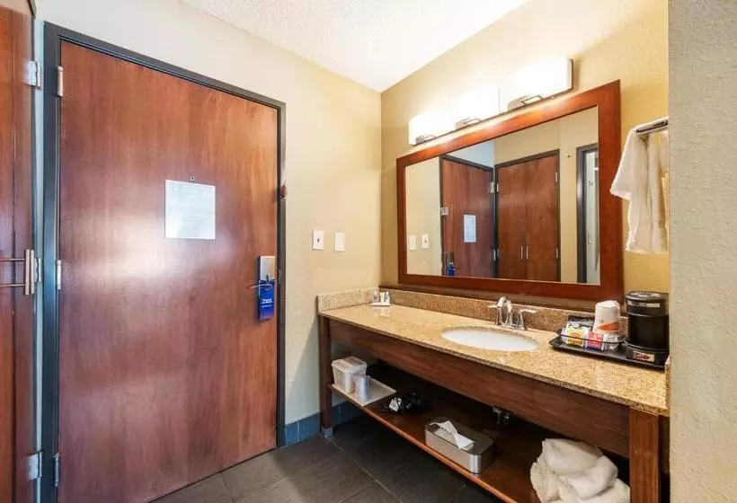 キングサイズベッドのスタンダードルーム, Comfort Inn Mayfield Heights Cleveland East