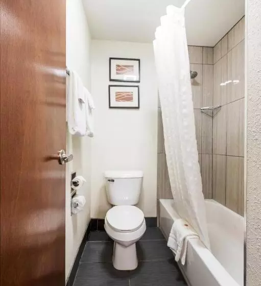 キングサイズベッドのスタンダードルーム, Comfort Inn Mayfield Heights Cleveland East