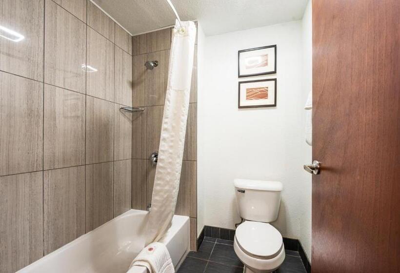 غرفة قياسية, Comfort Inn Mayfield Heights Cleveland East