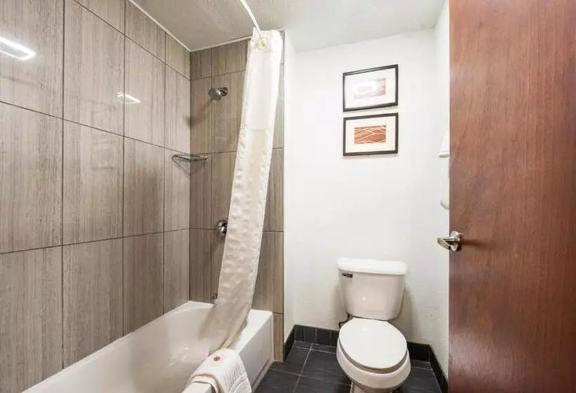 スタンダードルーム, Comfort Inn Mayfield Heights Cleveland East