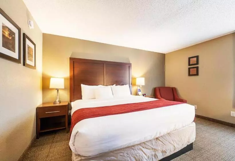 キングサイズベッドのスイートルーム, Comfort Inn Mayfield Heights Cleveland East