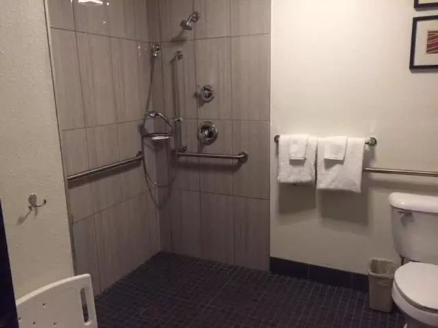 身障者適用スタンダードルーム, Comfort Inn Mayfield Heights Cleveland East