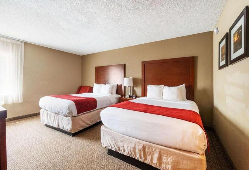 غرفه قياسيه سريرين مزدوجين, Comfort Inn Mayfield Heights Cleveland East