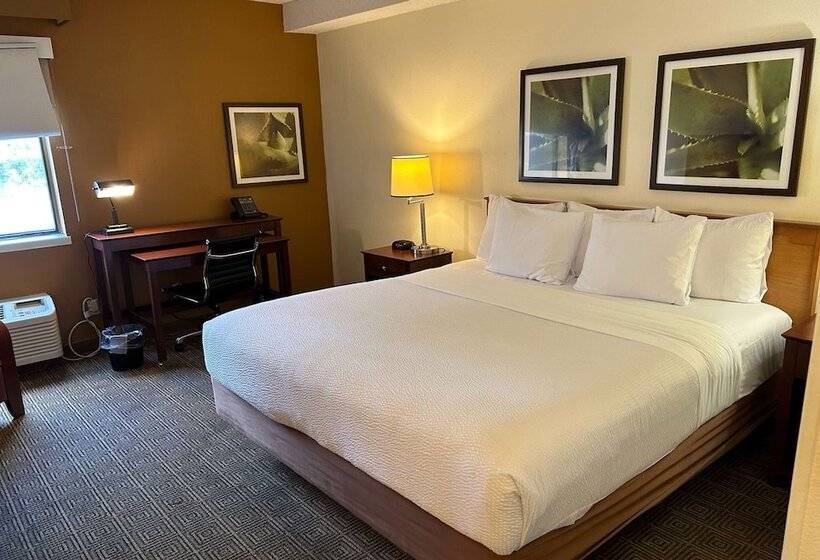 豪华房间, La Quinta By Wyndham Orlando South