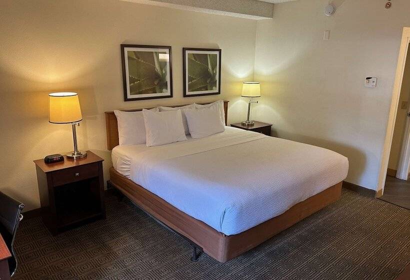 豪华房间, La Quinta By Wyndham Orlando South