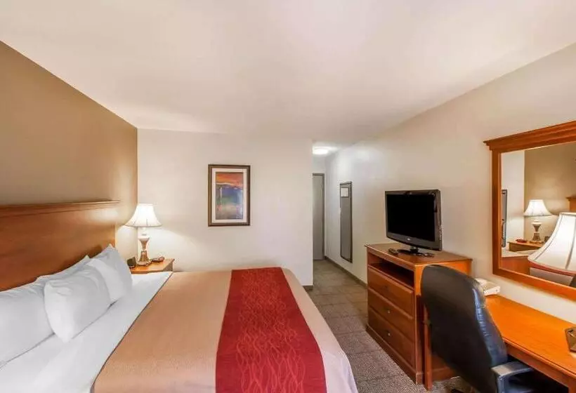 キングサイズベッドのスタンダードルーム, Quality Inn & Suites Germantown North