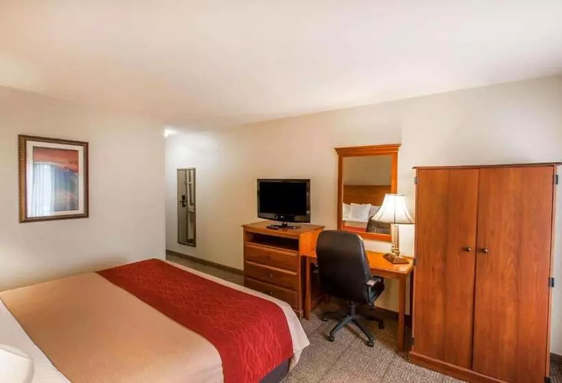 キングサイズベッドのスタンダードルーム, Quality Inn & Suites Germantown North