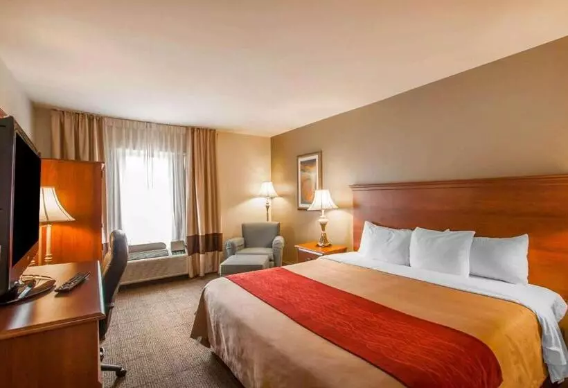 キングサイズベッドのスイートルーム, Quality Inn & Suites Germantown North