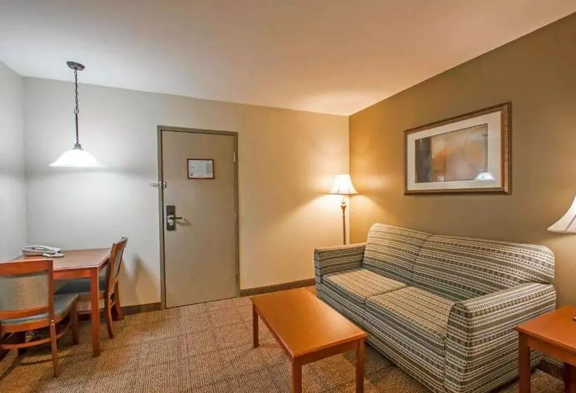 キングサイズベッドのスイートルーム, Quality Inn & Suites Germantown North