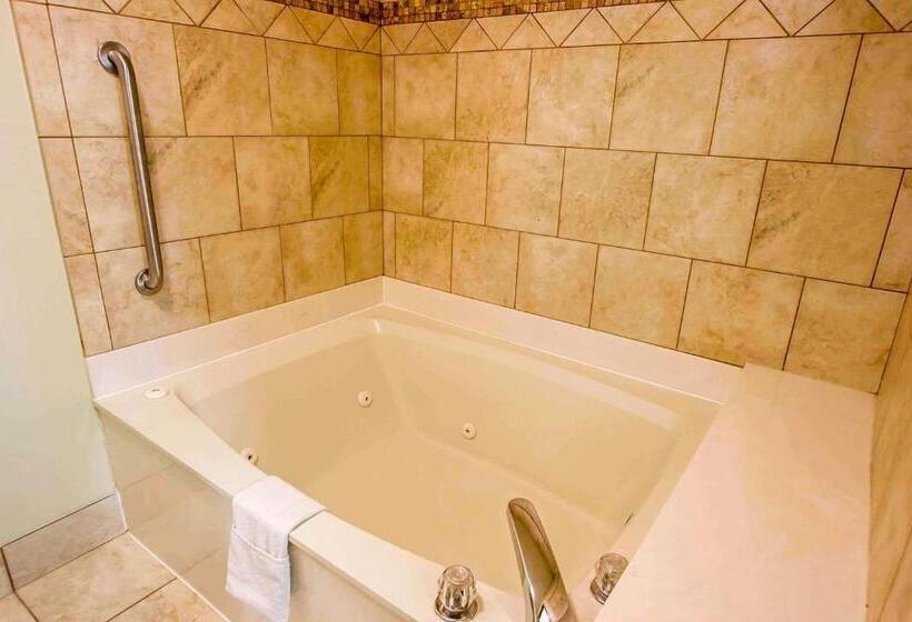 带大床的套房, Quality Inn & Suites Germantown North