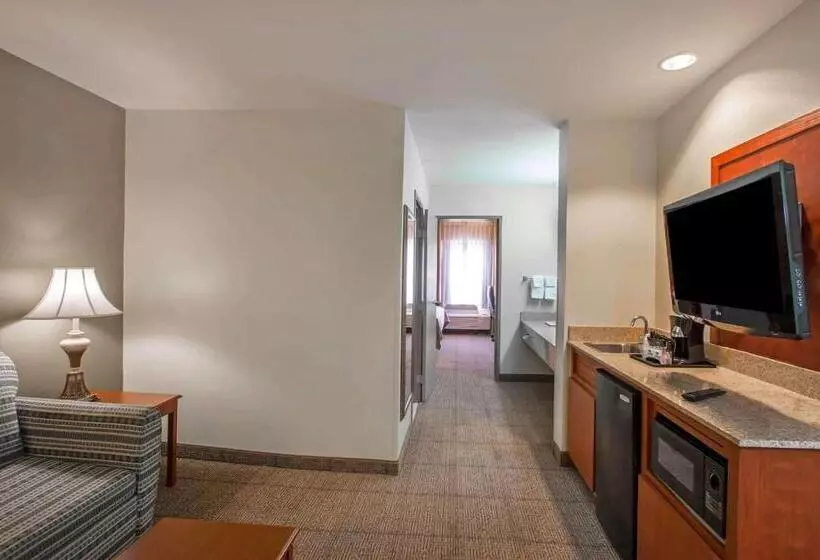 キングサイズベッドのスイートルーム, Quality Inn & Suites Germantown North