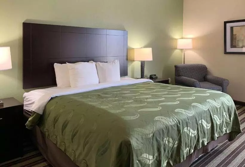 キングサイズベッドのスタンダードルーム, Quality Inn & Suites
