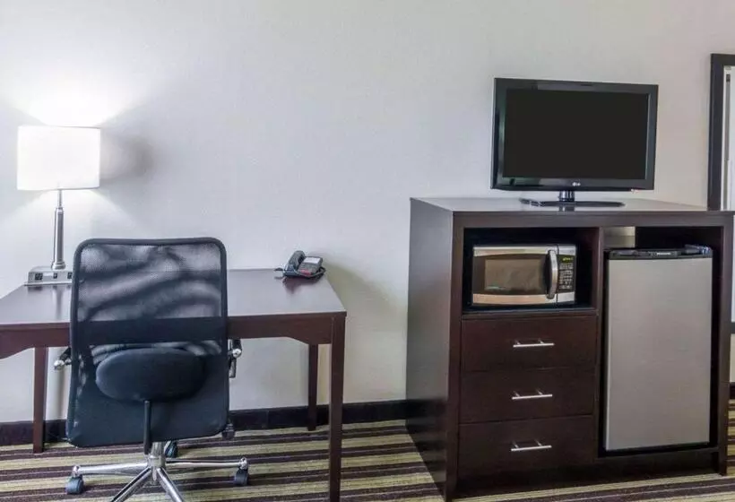 キングサイズベッドのスタンダードルーム, Quality Inn & Suites
