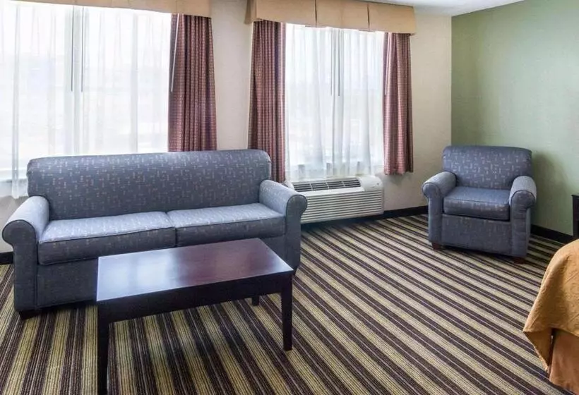 キングサイズベッドのスイートルーム, Quality Inn & Suites