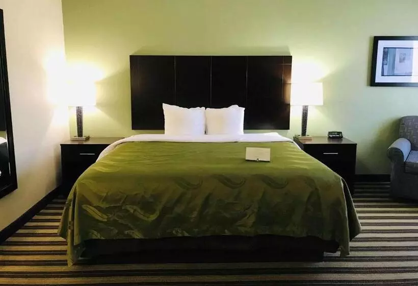 キングサイズベッドのスイートルーム, Quality Inn & Suites