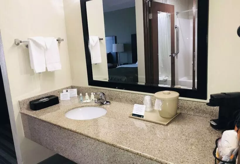 ２ダブルベッドのスタンダードルーム, Quality Inn & Suites