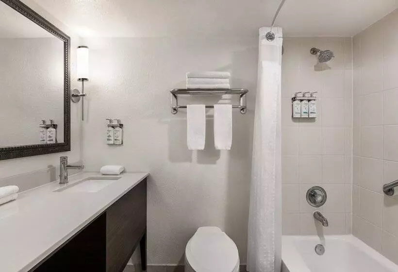 اتاق استاندارد, Holiday Inn Miami Beachoceanfront, An Ihg