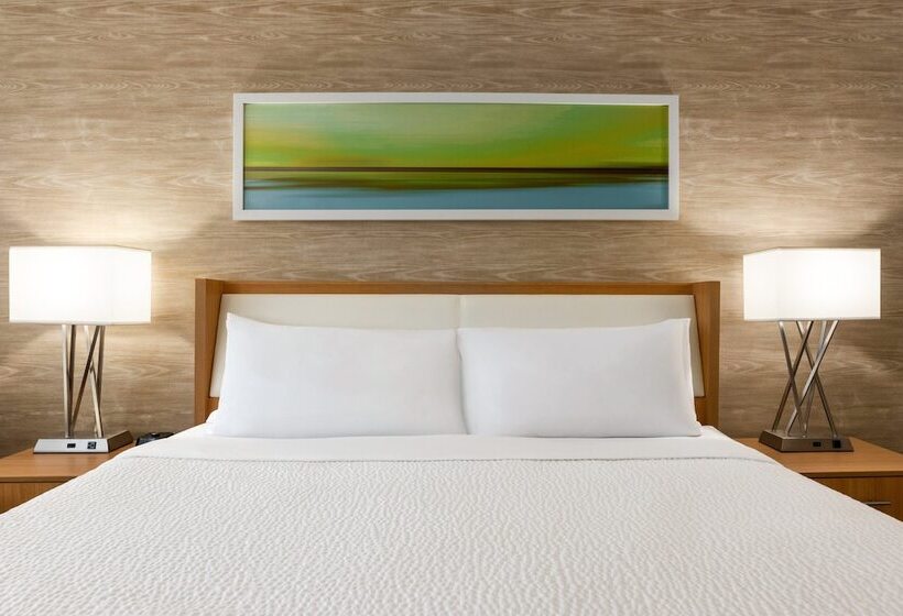 标准间, Holiday Inn Miami Beachoceanfront, An Ihg