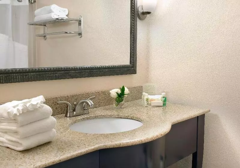 اتاق استاندارد با تخت بزرگ, Holiday Inn Miami Beachoceanfront, An Ihg