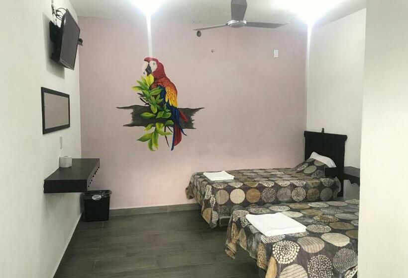 اتاق اکونومی, Los Pinos Centro