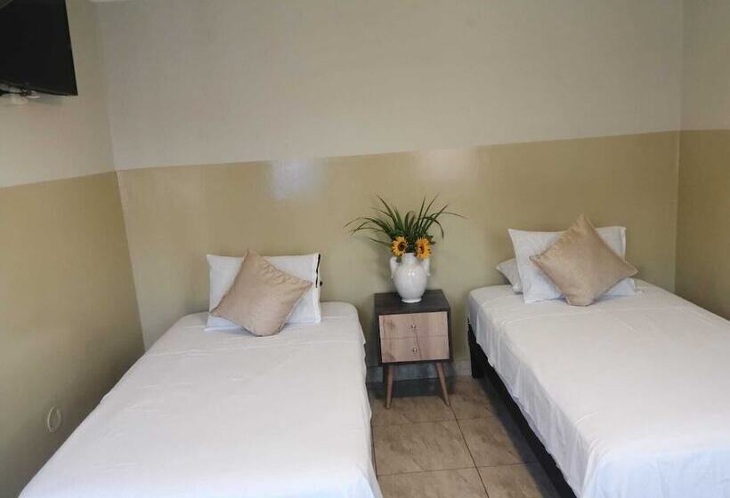 스탠다드 트리플 룸, Brickell