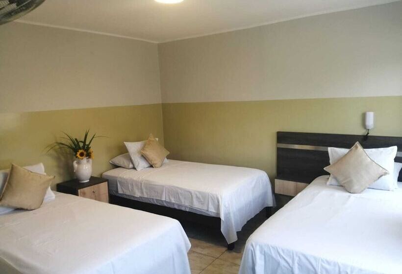 스탠다드 트리플 룸, Brickell