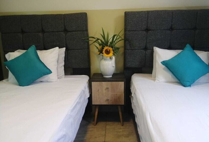 스탠다드 룸, Brickell