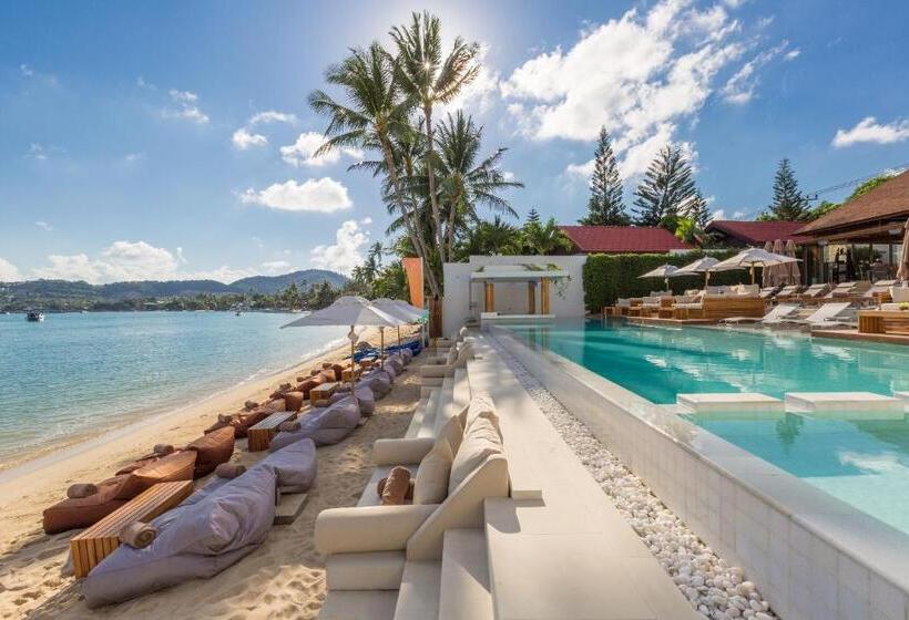 آپارتمان 1 خوابه با چشم‌انداز باغ, Chi  The Residence