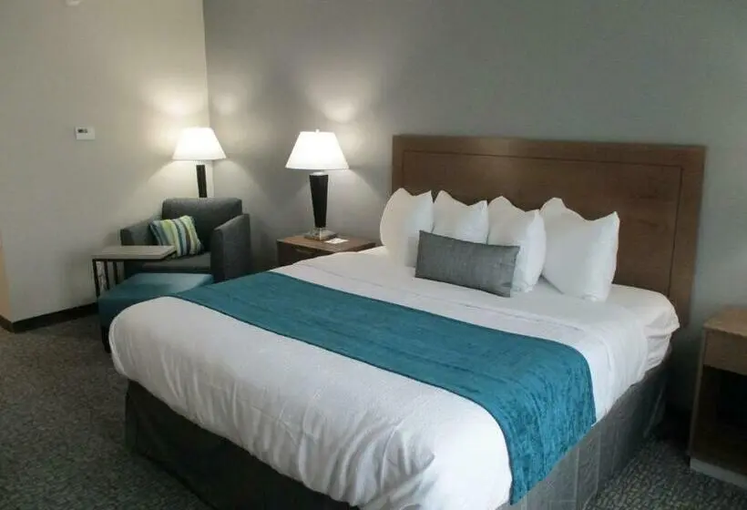 キングサイズベッドのスタンダードルーム, Best Western Plus Executive Residency Marion