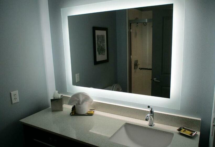 스탠다드 룸 더블 침대 2개, Best Western Plus Executive Residency Marion