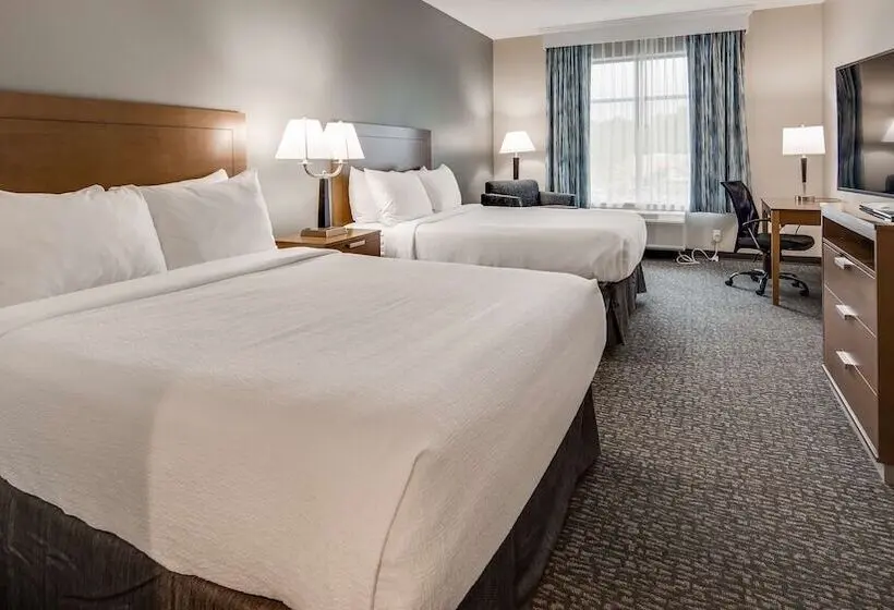 ２ダブルベッドのスタンダードルーム, Best Western Plus Executive Residency Marion