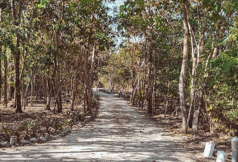 景色の見えるスイートルーム, Mbh Maya Bacalar Hotel Boutique