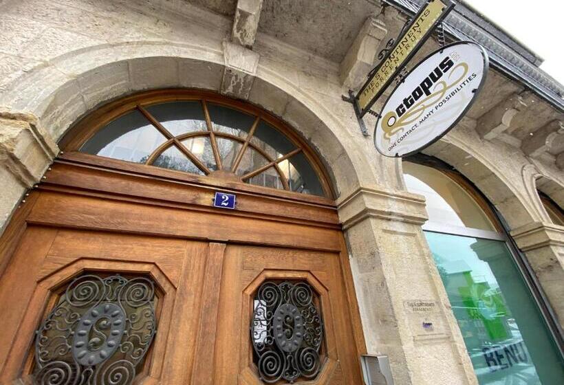 דירת חדר נוף לגינה, The 5 Continents