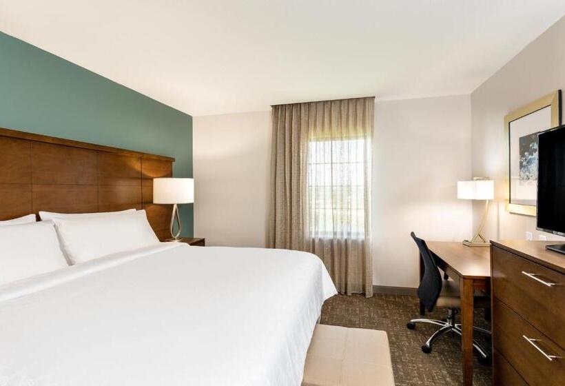 스위트, Staybridge Suites   Fort Lauderdale Airport   West, An Ihg