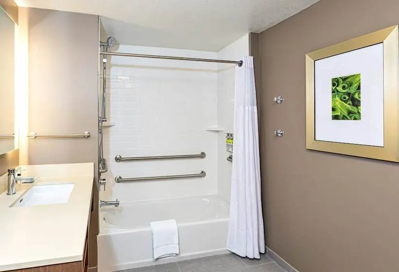 スタンダードスタジオ, Staybridge Suites   Fort Lauderdale Airport   West, An Ihg