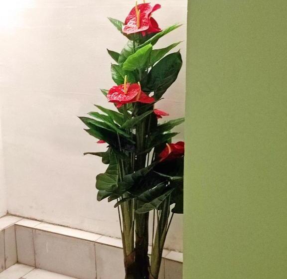 آپارتمان لوکس 1 خوابه, Ellisa Hospitality And