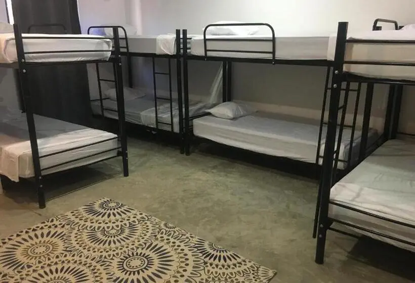 تختخواب در اتاق مشترک, El Gato Rojas Surf Hostel