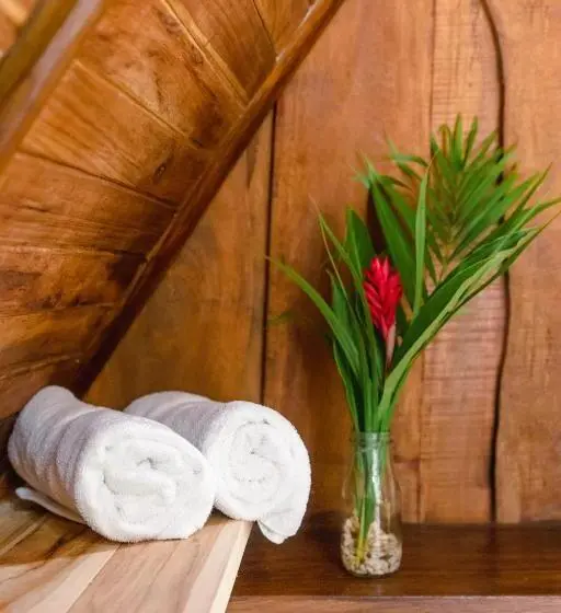 چادر با خدمات رفاهی استاندارد, El Gato Rojas Surf Hostel