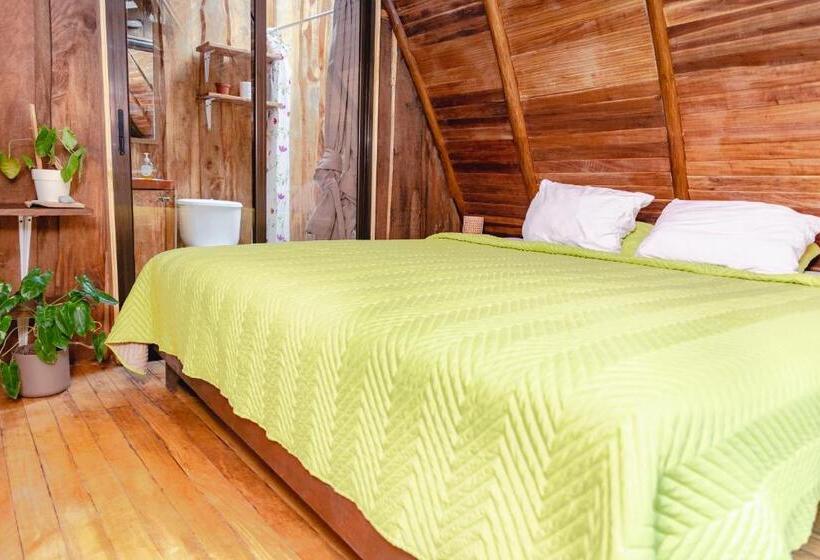 Standard Tent, El Gato Rojas Surf Hostel