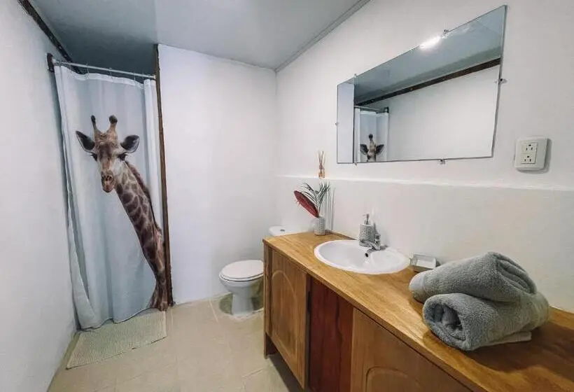 Deluxe Suite King Bed, El Gato Rojas Surf Hostel