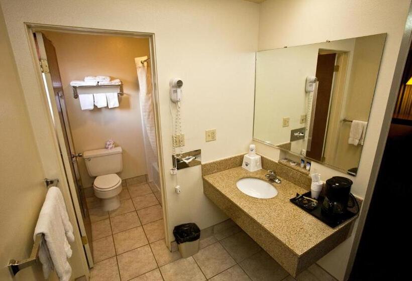 스탠다드 룸 킹사이즈 침대, Americas Best Value Inn Roosevelt/ballard