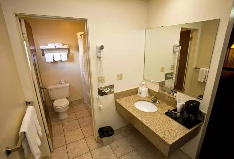 Standard-huone King-vuode, Americas Best Value Inn Roosevelt/ballard